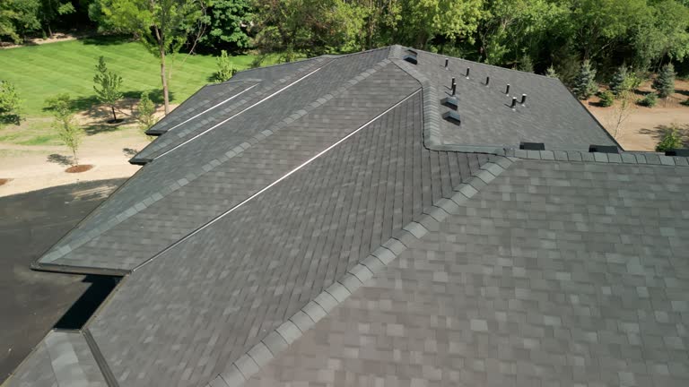 Best Solar Panel Roofing Installation  in Van Buren, MO