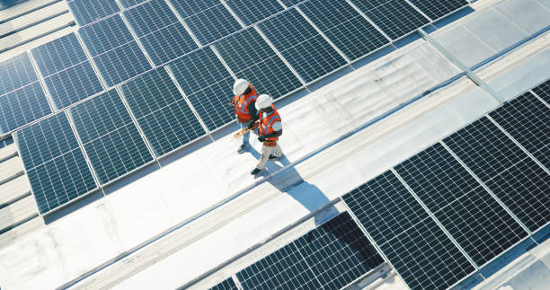 Best Roof Moss and Algae Removal  in Van Buren, MO